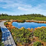 Apartma Brin Rogla * Zrece