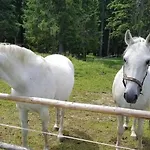 Apartment Apartma Brin Rogla *