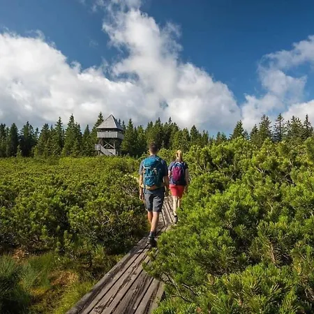 Apartma Brin Rogla