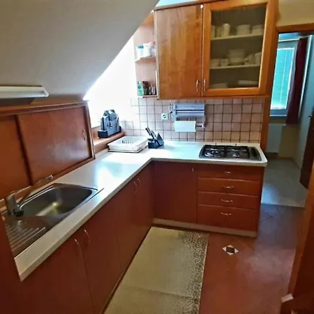 Rogla Apartma Ostrzek Appartement