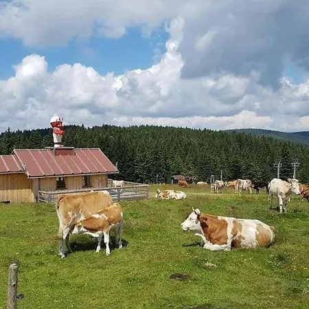 Apartma Brin Rogla Apartment Zrece