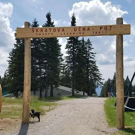 Apartma Brin Rogla * Zrece