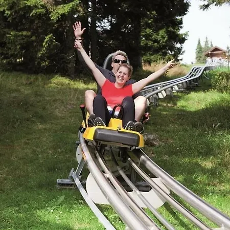 Apartment Apartma Brin Rogla