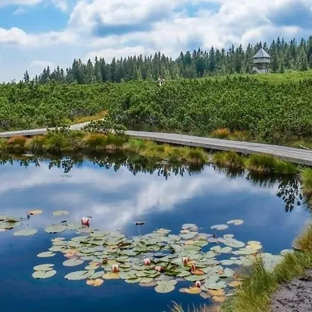 Apartment Apartma Brin Rogla