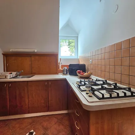 Apartma Brin Rogla Zrece