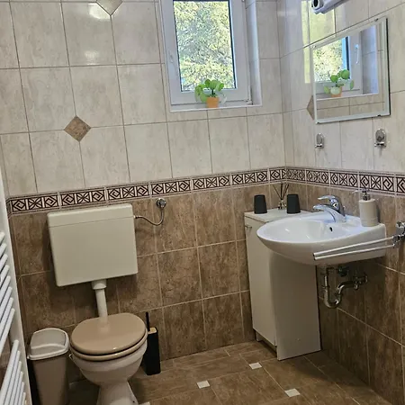 Apartma Brin Rogla Zrece